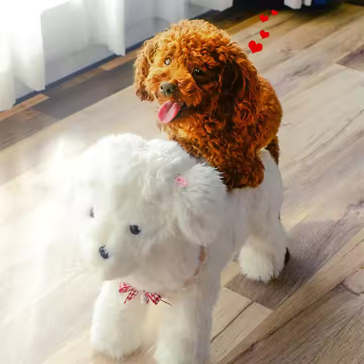 Las muñecas sexuales para mascotas - perros y gatos